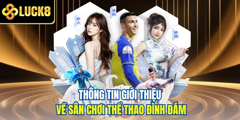 Thông tin giới thiệu về sân chơi thể thao đình đám