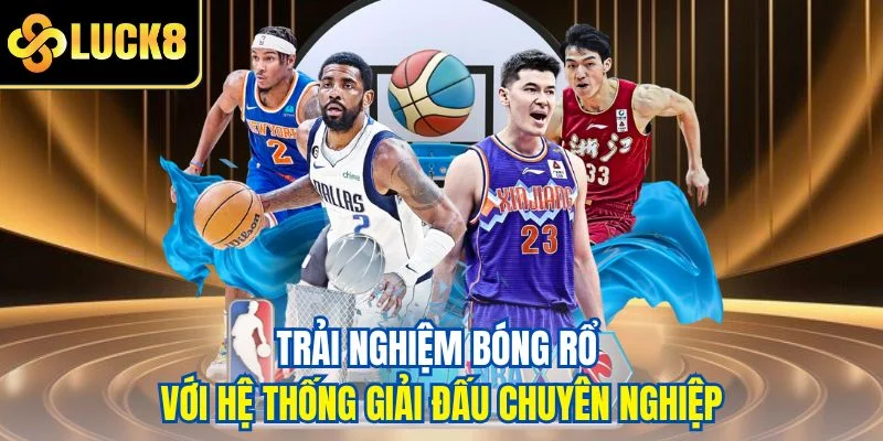 Trải nghiệm bóng rổ với hệ thống giải đấu chuyên nghiệp